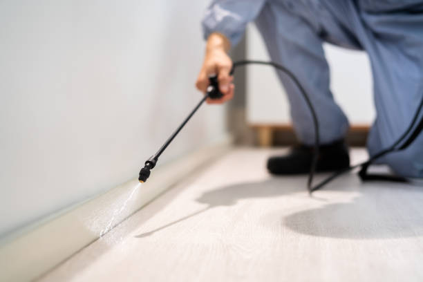 Licensed Fumigation Services service in Rosemont, IL - Nex Pest Control