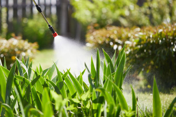 24/7 Emergency Fumigation Services experts in Rosemont, IL
