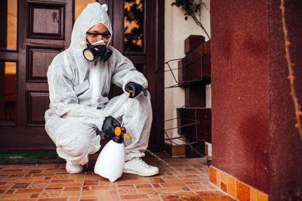 Reliable Fumigation Services contractor in Rosemont, IL by Nex Pest Control